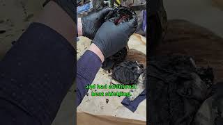 REBUILDING SALVAGED BMW 540i  Engine Mount Disassembly  DIY Project Sugar PT1215 [upl. by Richer]