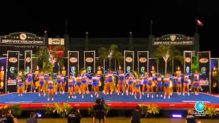 The Stingray All Stars  Orange 2014 Senior Large Finals [upl. by Brittani564]