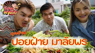 อีสานพาสวบ EP14 อีสานพาสวบ ปะทะ ปอยฝ้าย มาลัยพร [upl. by Ettesoj]