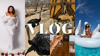 VLOG  Life update QampA  A day in the wilderness  more surprises [upl. by Evvie]