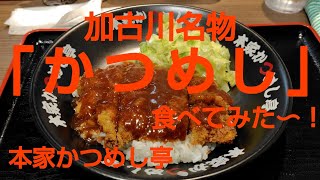 加古川名物「かつめし」食べてみた🍴😋👍 [upl. by Bannerman]