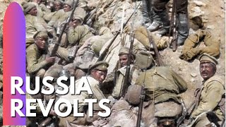 Russia Revolts in 1917  Democracy is given a chance [upl. by Neelya]