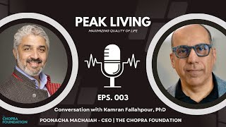 Peak Living Neurofeedback amp The Power of Neuroguided Performance Training  Kamran Fallahpour PhD [upl. by Adebayo]