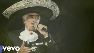 Vicente Fernández Mariachi México de Pepe Villa  El Tahur Audio [upl. by Halyk861]