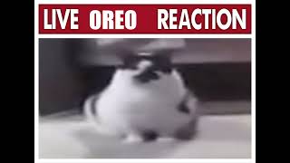 live oreo reaction [upl. by Saoj]