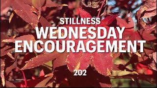 Wed Encouragement Stillness [upl. by Shalne798]