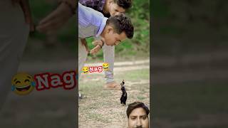 Nag 🐍Vs Inshan comedy funny Short shortvideo youtubeshorts story funnyvideo anireet [upl. by Mialliw543]