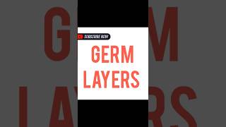 GERM LAYERS [upl. by Yhtir]