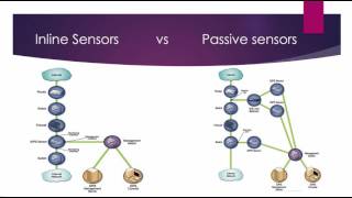 NetworkBased IDPS [upl. by Isiahi]