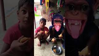 Chand wala mukhda leke 🤑🤑🤑🤑 comedy short 👀👀 short video 📸📸 funny cute 🥺🥺 song [upl. by Marfe115]