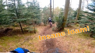 Lake district mtb vlog  Coombs fast loamy enduro trails [upl. by Cull]