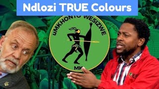 Mbuyiseni Ndlozi Rejects EFF amp Defend MKP LeadersNdlozi Shows his true colours [upl. by Aidekal509]