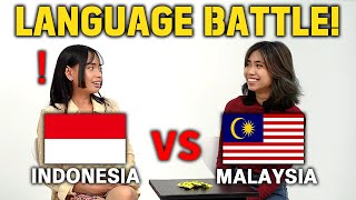 How Similar Are They Can They Understand Each Other Indonesia vs Malaysia [upl. by Elagiba]