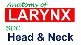 Chp16  Anatomy of LARYNX  Head amp Neck Anatomy  BDC Vol3  Dr Asif Lectures [upl. by Aihsaei]