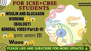 glucagon action l insulin dosage l type 2 strategies 😱😱😲 [upl. by Ttevy]