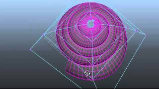 how to do Shell shape in maya [upl. by Amilah]