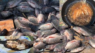 PESCA CON TRASMALLO EN LAGUNITA DE METAPAN [upl. by Hajin]