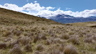 The Foundations Rewilding Chile amp Rewilding Argentina – Ep 1 [upl. by Duer]