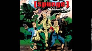 spunge  Centerfold J Geils Band Cover [upl. by Chapell]