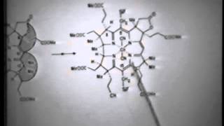 RB Woodward Total Synthesis of Vitamin B12 Lecture  Part 2 [upl. by Arem704]