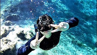 Swimming with Manatees in Three Sisters Springs in Crystal River [upl. by Eira]