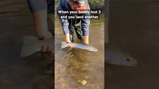 Another steelhead 🎣 fishing funny steelhead trout adventure travel [upl. by Enaywd]