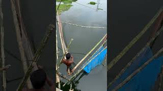 Traditional Lift Net Fishing Technique fishing fypシ゚ viralvideo shortsvideo shorts [upl. by Nolek188]