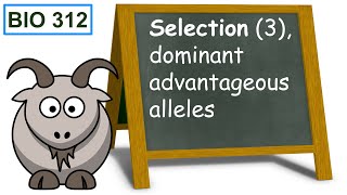 Selection 3 dominant advantageous alleles [upl. by Appel791]