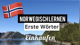 Norwegisch Lernen Erste WörterEinkaufen  Norwegische Sprache  BegrüßungAbschied  Norwegischkurs [upl. by Suedama]