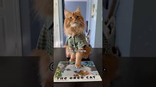 10 OFF our 2025 calendar until tomorrow Code BOOKMAKER10 🧡 Link in description catsofshorts [upl. by Sung701]