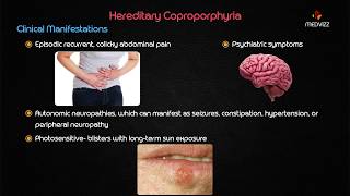 Hereditary Coproporphyria  Biochemistry usmle step 1 webinar lecture [upl. by Seibold]