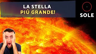 QUAL È LA STELLA PIÚ GRANDE DELLUNIVERSO VY Canis Majoris Shorts [upl. by Swerdna848]