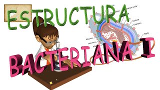 Estructura de una celula bacteriana I [upl. by Ready]