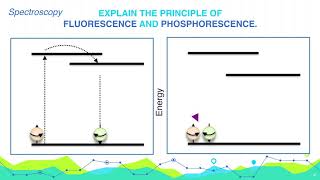 Explain the principle of Fluorescence and Phosphorescence  Analytical Chemistry [upl. by Rosalinda]