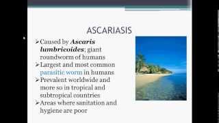 Parasitology Ascariasis Ascaris lumbricoides [upl. by Louanne]