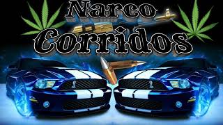 ✴️Narco Corridos ✴️Los Mejores Corridos ✴️ [upl. by Kahcztiy]