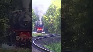 Dampflok 41 360 mit dem FußballWeltmeisterzug 1954 DBBaureihe VT 08  2004 [upl. by Igiul]