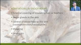 NDD3 Temperature Regulation In Endotherms [upl. by Peonir]