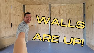 Lining a Shed with Plywood  Workshop Build Series  Part 7 [upl. by Berte]