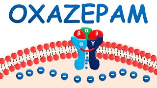 Oxazepam  Mechanism precautions side effects amp uses [upl. by Boycie312]