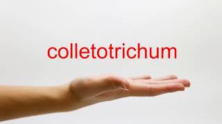 How to Pronounce colletotrichum  American English [upl. by Gide]