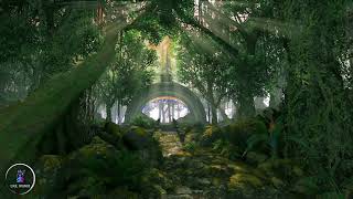 Rainforest Ambience  Relax Focus Or Sleep To Rainforest Sounds [upl. by Jacoby774]