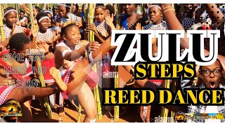 Umkhosi womhlanga 2024  4K trendingshorts afrogoddess abangonipeople africantraditions zulu [upl. by Nugent]