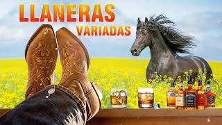 🐴Llaneras Variadas 2024🐴Vitico Castillo Jorge Guerrero Armando Martinez Reynaldo Armas y mas [upl. by Ck]