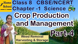 Crop Production and Management Class 8 Part4 [upl. by Weylin804]