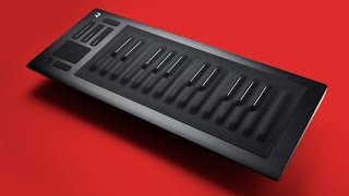 Roli Seaboard Rise Review  Music Instrument From The Future [upl. by Farwell]