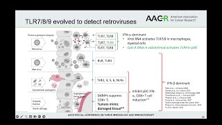 Retroviral mimics costimulate TLR789 to induce dendritic cells MP and antitumor CD8 T cells [upl. by Aeriell]