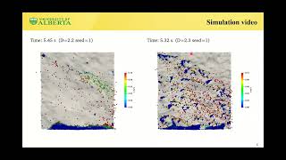 CFD DEM Simulations of Proppant Transport in Rough Fractures [upl. by Homovec106]