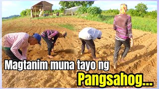 GANITO ANG PLANO NAMIN PARA HINDI TAYO MAOVERSUPPLY [upl. by Erret]