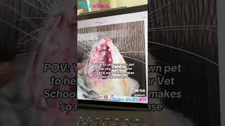 Vet Students Use Their Pets To Study vetvibes vetstudent veterinary animals [upl. by Aglo]